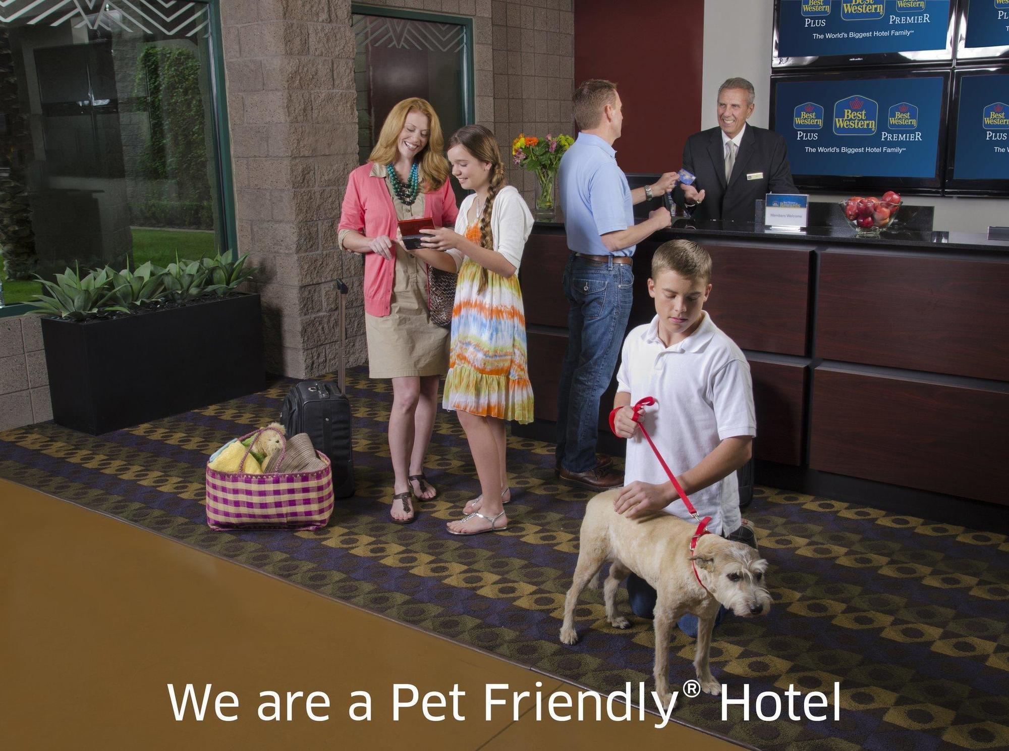 Quality Inn & Suites Phoenix Nw - Sun City Youngtown Dış mekan fotoğraf